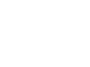 Selkee Design logo