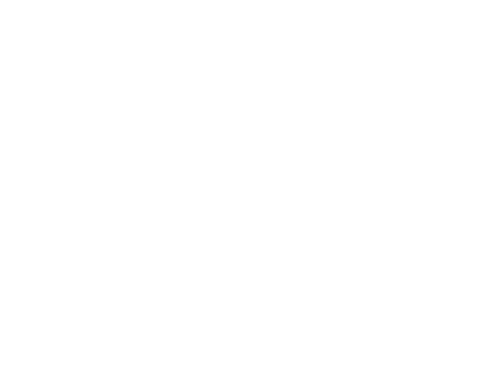 Selkee Design logo